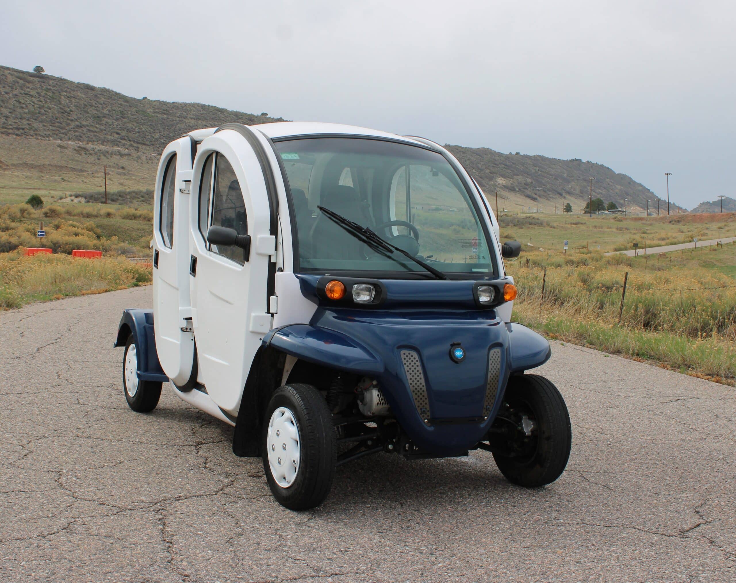 2014 GEM e4